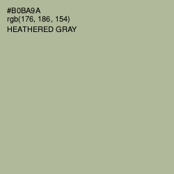 #B0BA9A - Heathered Gray Color Image